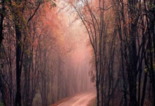 皇冠体育官网:亚冬会:中国队四战全胜 成功晋级冰壶混双半决赛.