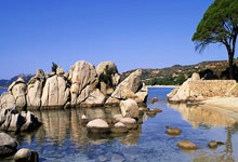 皇冠体育官网:能赢上海队?广东最强阵容正式诞生,“洛夫顿克星”将拯救杜锋!.